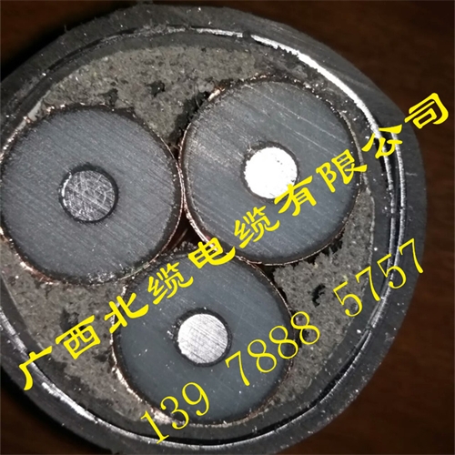 www.ncmct.cn