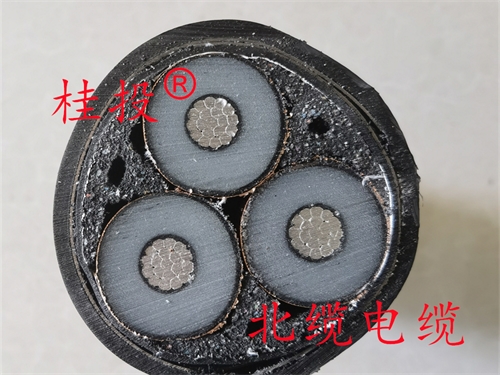 www.ncmct.cn