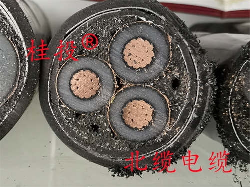 www.ncmct.cn